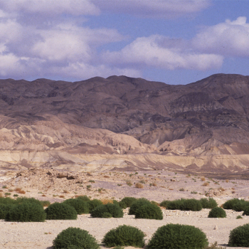 Egyptian landscape