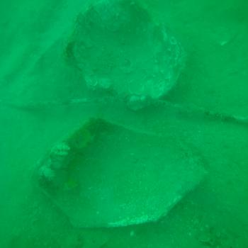 Ceramic shards found on the Belitung wreck site