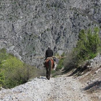 Shephard trekking in Arslanbob